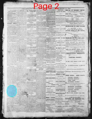 Page thumbnail for Memphis Daily Appeal