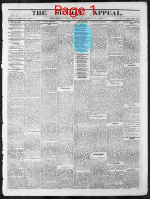 Page thumbnail for Memphis Daily Appeal