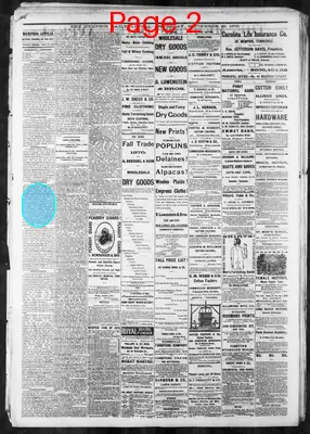 Page thumbnail for Memphis Daily Appeal