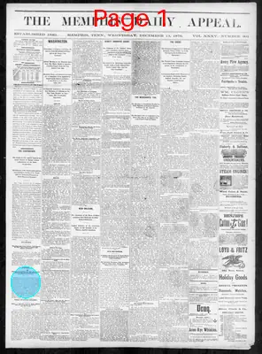 Page thumbnail for Memphis Daily Appeal