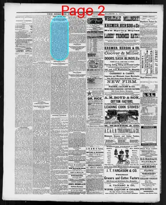Page thumbnail for Memphis Daily Appeal