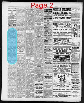 Page thumbnail for Memphis Daily Appeal