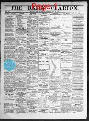 Page thumbnail for The Daily Clarion