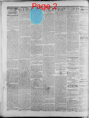 Page thumbnail for The Daily Clarion