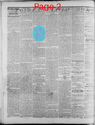 Page thumbnail for The Daily Clarion