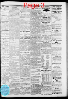Page thumbnail for The Daily Clarion