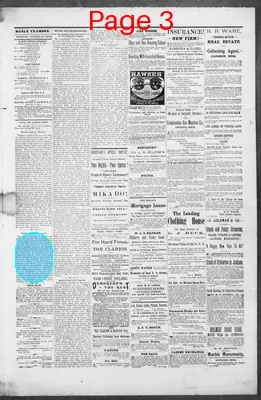 Page thumbnail for The Daily Clarion