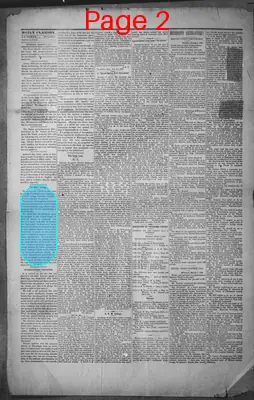 Page thumbnail for The Daily Clarion