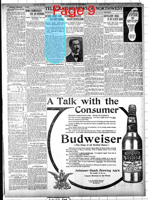 Page thumbnail for The Minneapolis Journal