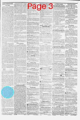 Page thumbnail for Daily Evening Star