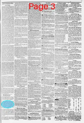 Page thumbnail for Daily Evening Star