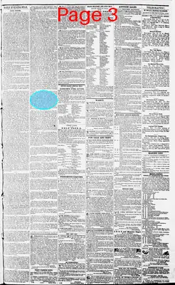 Page thumbnail for Daily Evening Star
