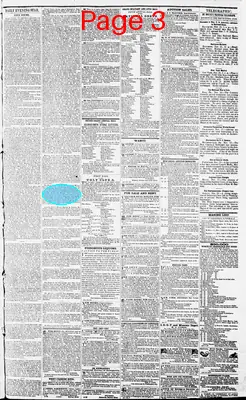 Page thumbnail for Daily Evening Star
