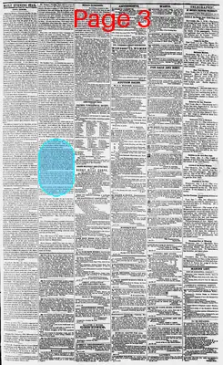 Page thumbnail for Daily Evening Star