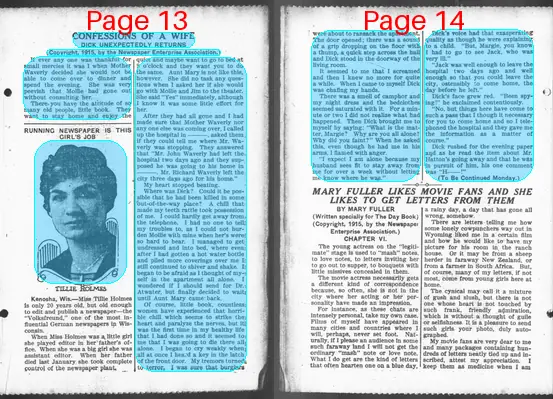 Page thumbnail for The Day Book