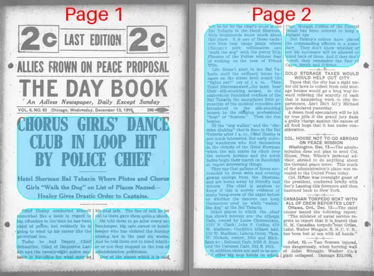 Page thumbnail for The Day Book