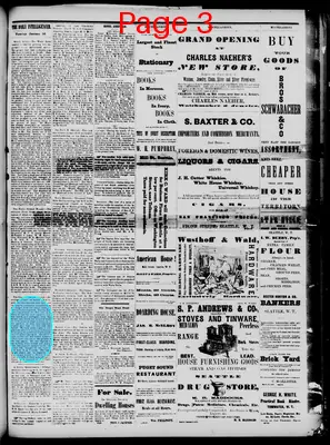 Page thumbnail for The Daily Intelligencer