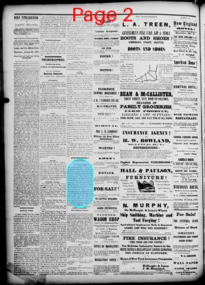 Page thumbnail for The Daily Intelligencer