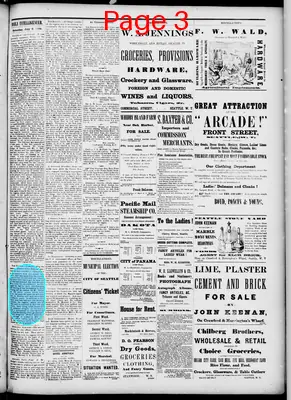 Page thumbnail for The Daily Intelligencer