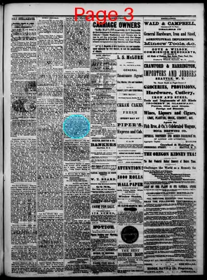 Page thumbnail for The Daily Intelligencer