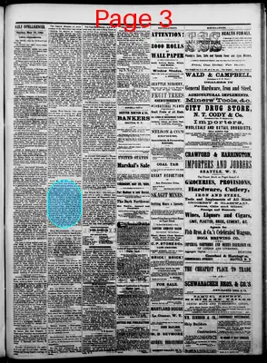 Page thumbnail for The Daily Intelligencer