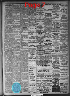 Page thumbnail for Seattle Daily Post Intelligencer