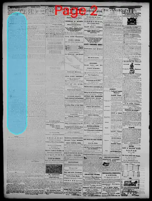 Page thumbnail for Daily Davenport Democrat