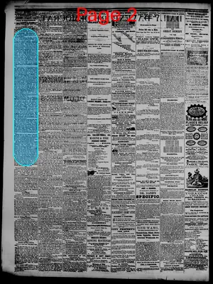 Page thumbnail for Daily Davenport Democrat