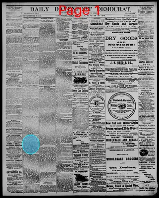 Page thumbnail for Daily Davenport Democrat