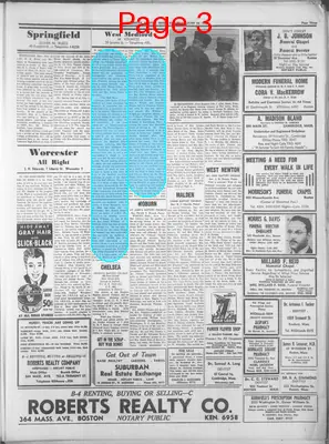Page thumbnail for The Guardian