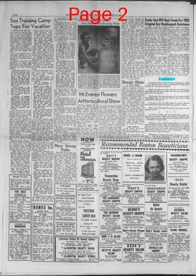 Page thumbnail for The Guardian