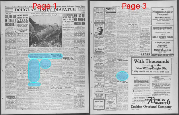 Page thumbnail for Douglas Daily Dispatch