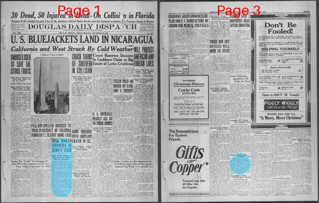 Page thumbnail for Douglas Daily Dispatch
