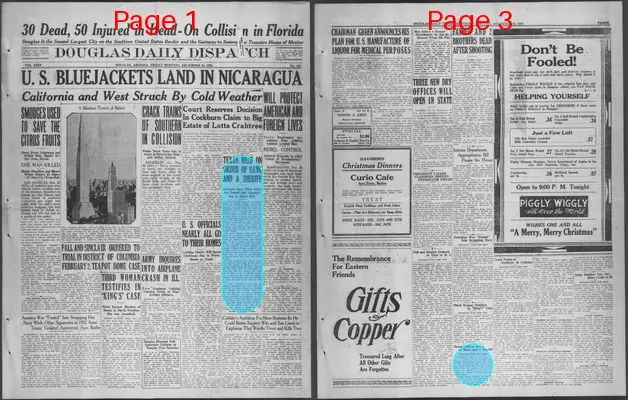 Page thumbnail for Douglas Daily Dispatch