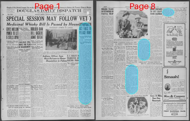 Page thumbnail for Douglas Daily Dispatch