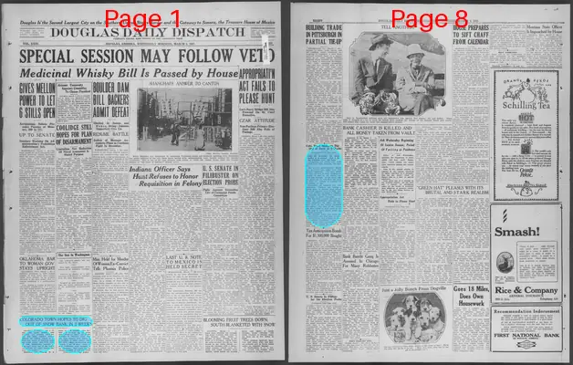 Page thumbnail for Douglas Daily Dispatch