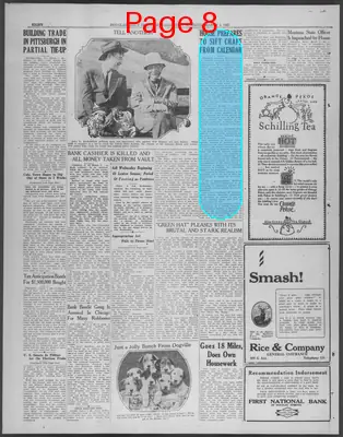 Page thumbnail for Douglas Daily Dispatch