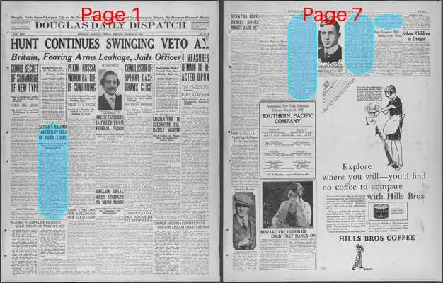 Page thumbnail for Douglas Daily Dispatch