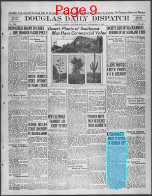 Page thumbnail for Douglas Daily Dispatch