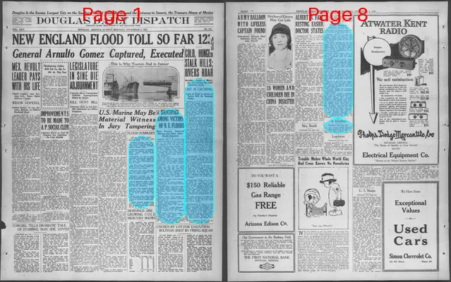 Page thumbnail for Douglas Daily Dispatch
