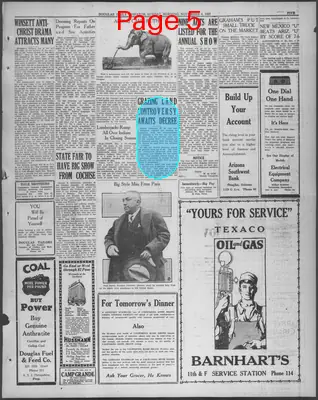 Page thumbnail for Douglas Daily Dispatch