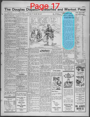 Page thumbnail for Douglas Daily Dispatch