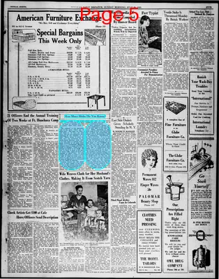 Page thumbnail for Douglas Daily Dispatch