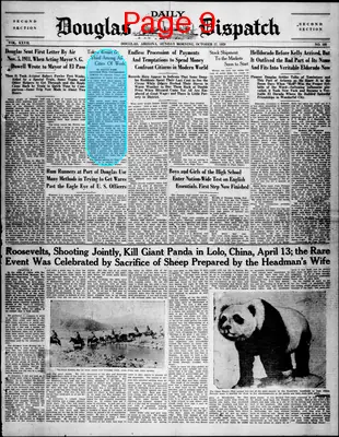 Page thumbnail for Douglas Daily Dispatch