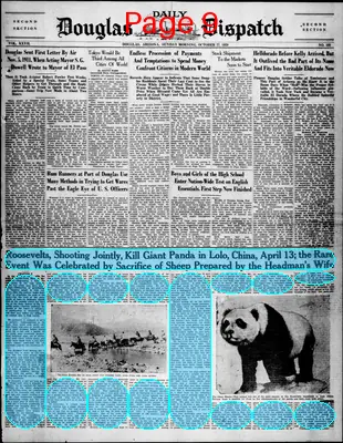Page thumbnail for Douglas Daily Dispatch