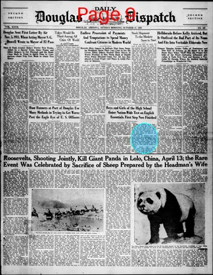 Page thumbnail for Douglas Daily Dispatch
