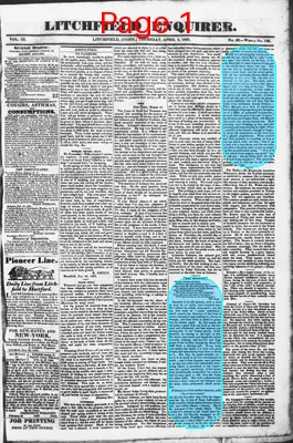 Page thumbnail for Litchfield Enquirer