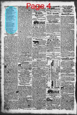 Page thumbnail for Litchfield Enquirer