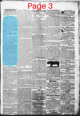 Page thumbnail for Litchfield Enquirer