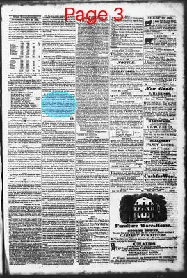 Page thumbnail for Litchfield Enquirer